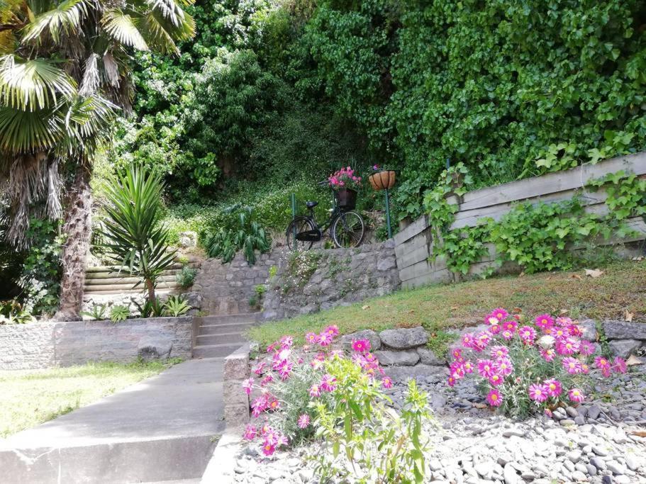 Shakespeare Cottage Napier Ngoại thất bức ảnh
